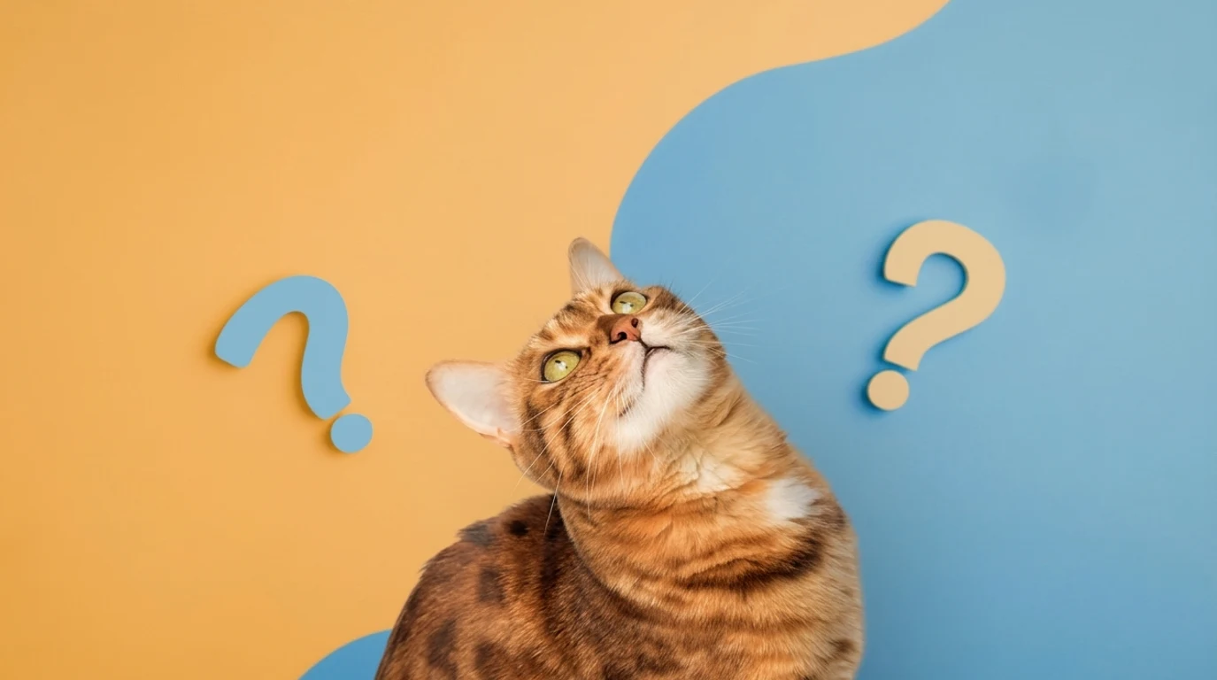 Controlled vs uncontrolled inputs in React: which one and when